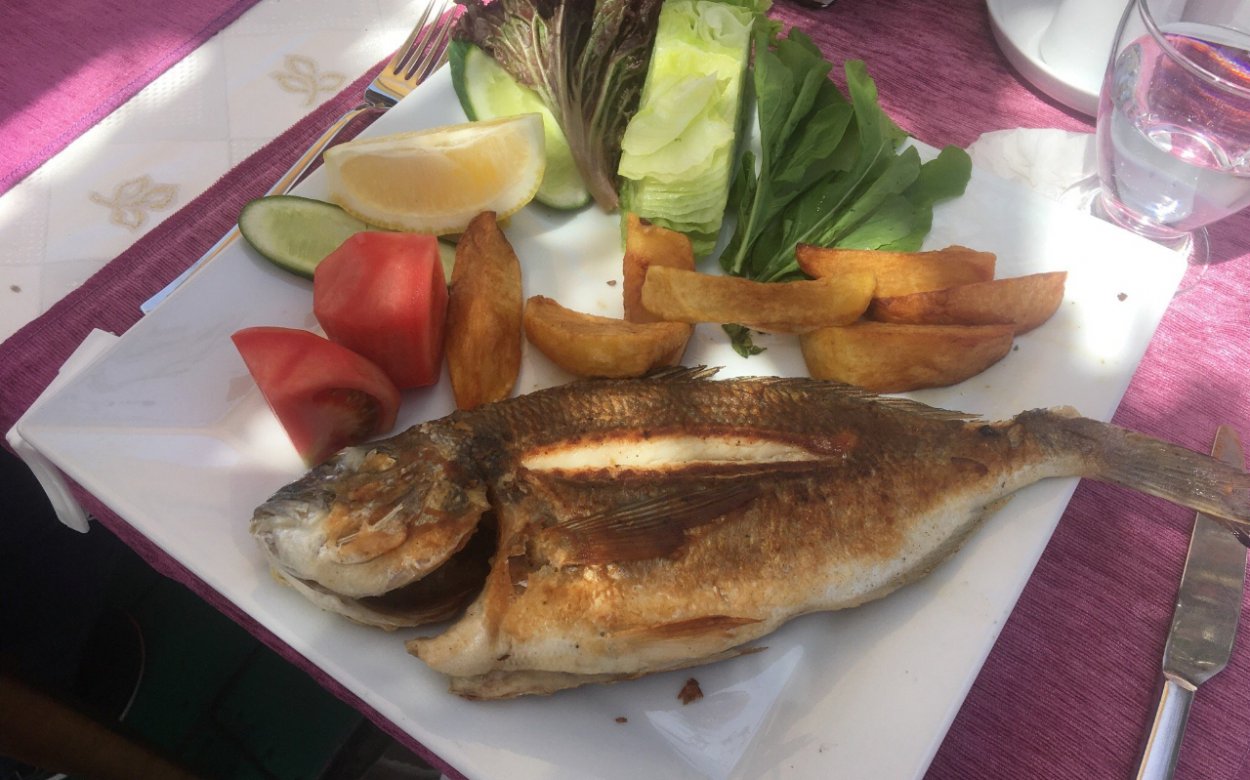 Fotoğraflar